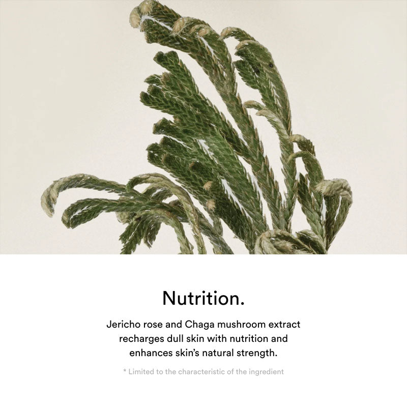 Abib Jericho Rose Creme Nutrition Tube 75ml-4