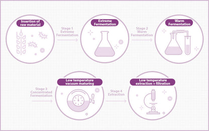 MISSHA Time Revolution Night Ampoule 5X 50ml-3