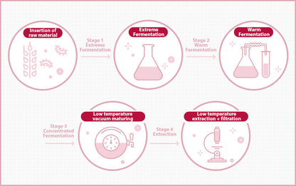 MISSHA Time Revolution The First Essence 5X 150ml-2